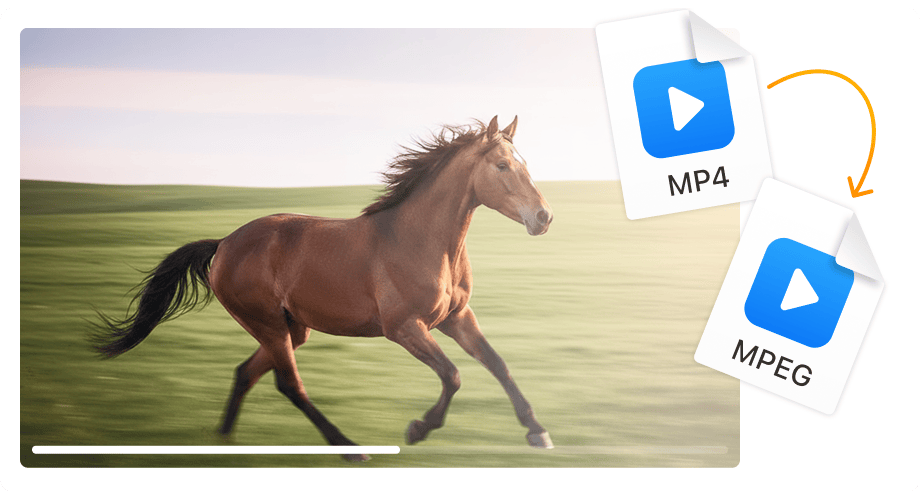 Perfect voor DVD-authoring